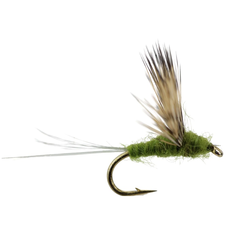 Baetis Comparadun, Size 16 | Qty. 6 | Wild Water Fly Fishing