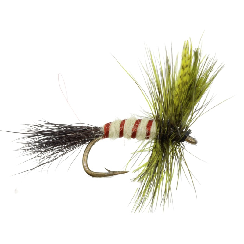 Eastern Drake, Size 12 | Olive | Qty. 6 | Wild Water Fly Fishing
