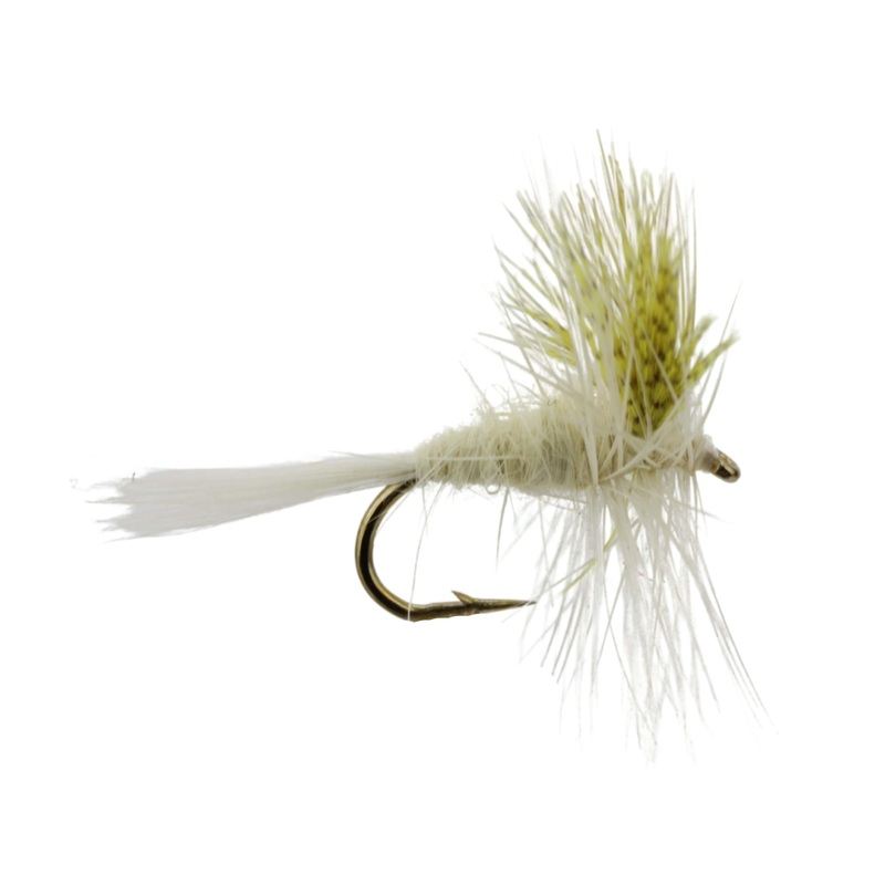 Light Cahill, Size 14 | Qty. 6 | Wild Water Fly Fishing