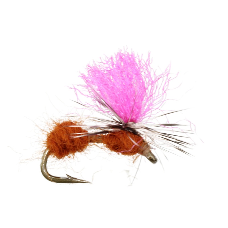 Mobile Ant, Size 14 | Qty. 6 | Wild Water Fly Fishing