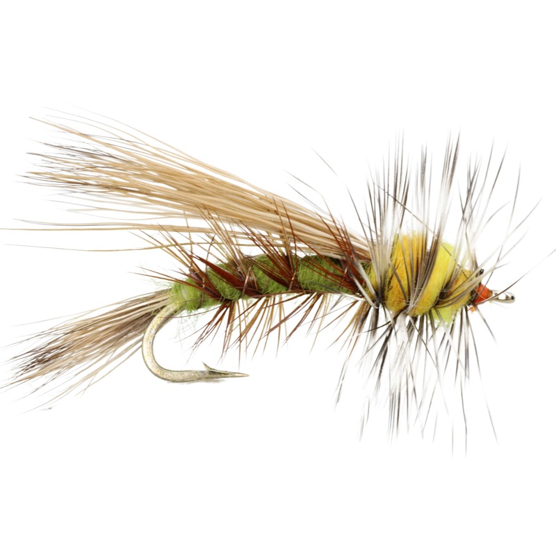 Stimulator Fly, Size 12 | Olive | Qty. 6 | Wild Water Fly Fishing