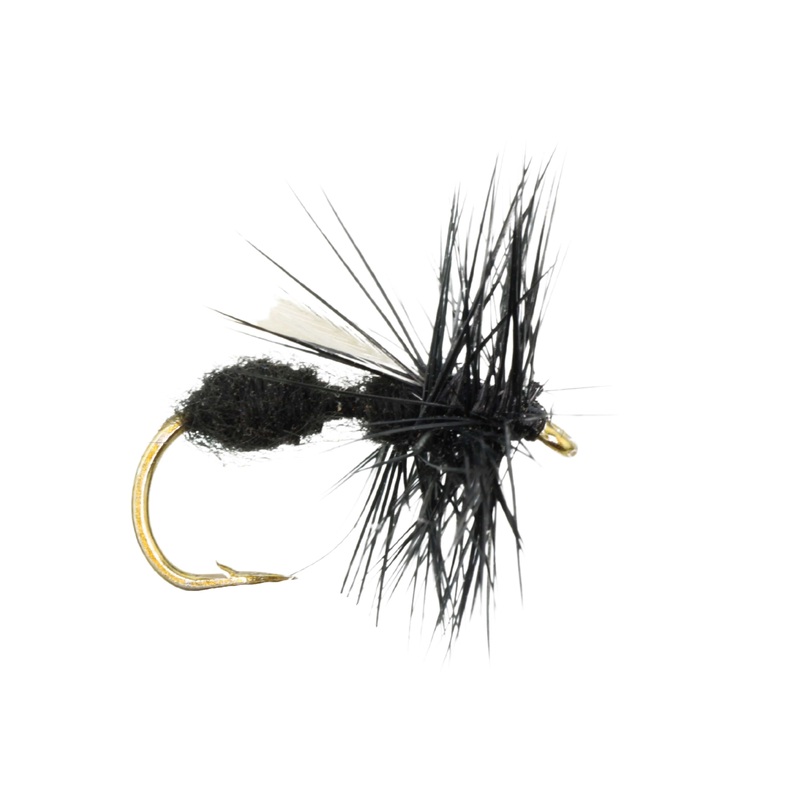 Winged Black Ant, Size 12 | Qty. 6 | Wild Water Fly Fishing