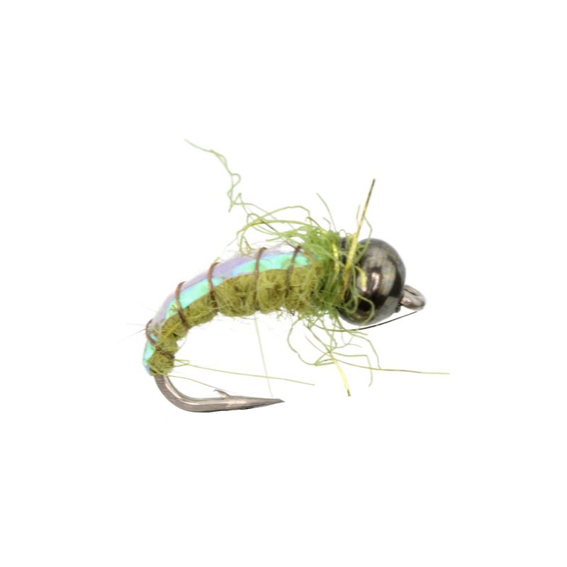 Electric Caddis, Size 16 | Olive | Qty. 6 | Wild Water Fly Fishing