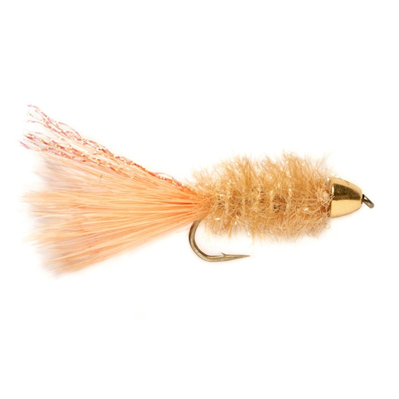 Fulling Mill Dover’s Peach||8||6