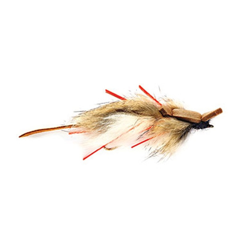 Fulling Mill White Bellied Mouse