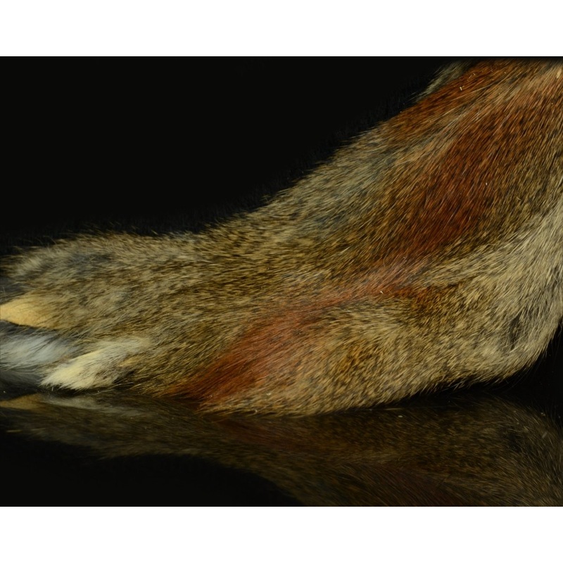 Hareline Pine Squirrel Skins