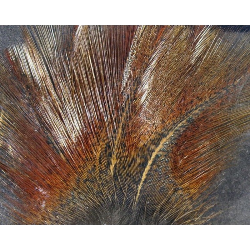 Hareline Coq De Leon Feathers|Brown