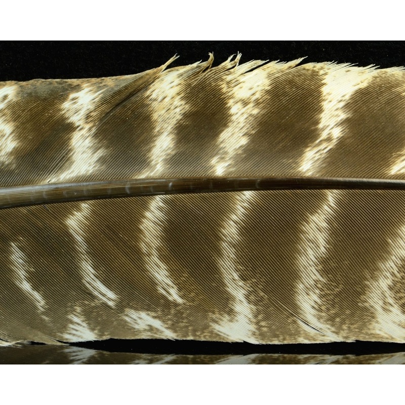 Hareline Ozark Oak Mottled Turkey Quills