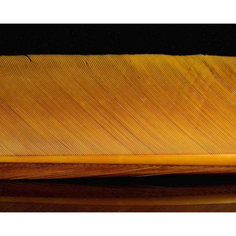 Nature’s Spirit Turkey Biots|Golden Stone