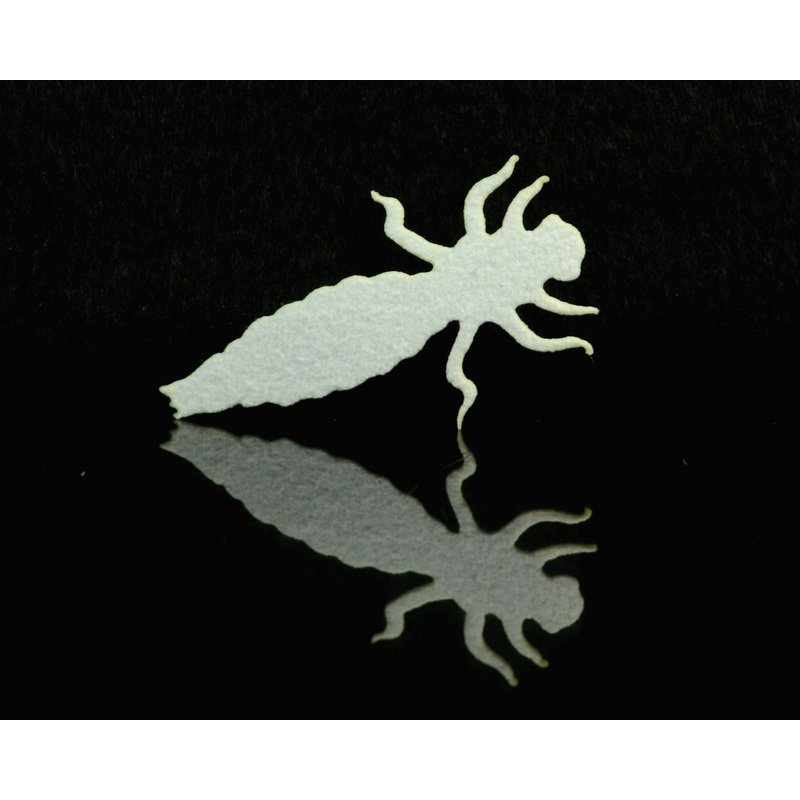 Super Fly Cohen’s Creatures – Dragon Fly Nymph Body