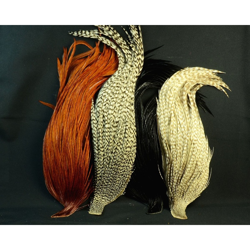 Whiting Farms Introductory Hackle Pack