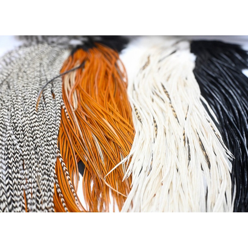 Whiting Farms Introductory Hackle Pack – Four Half Saddles