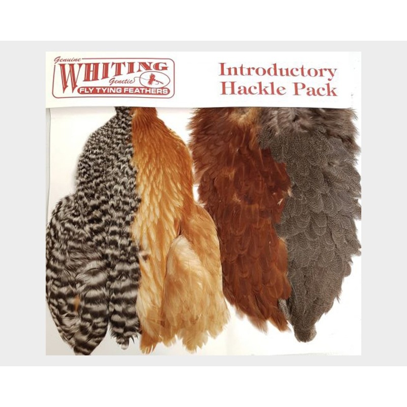 Whiting Farms Introductory Soft Hackle Pack