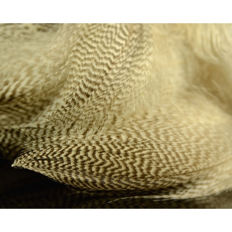 Hareline Pintail Flank Feathers