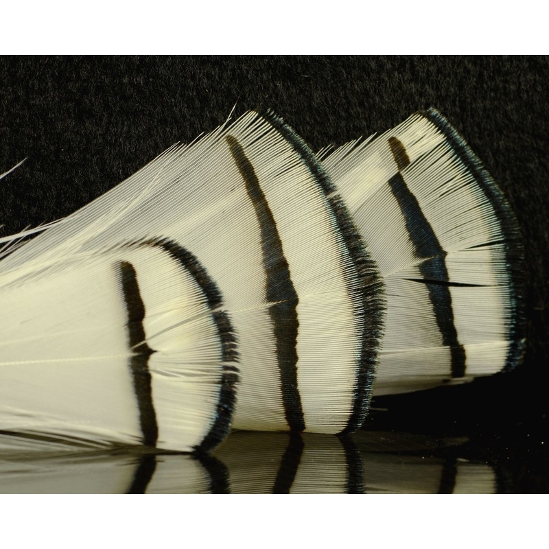 Lady Amherst Tippets