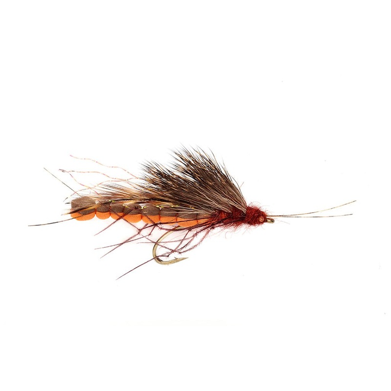Mcphail Adult Salmonfly||8||6
