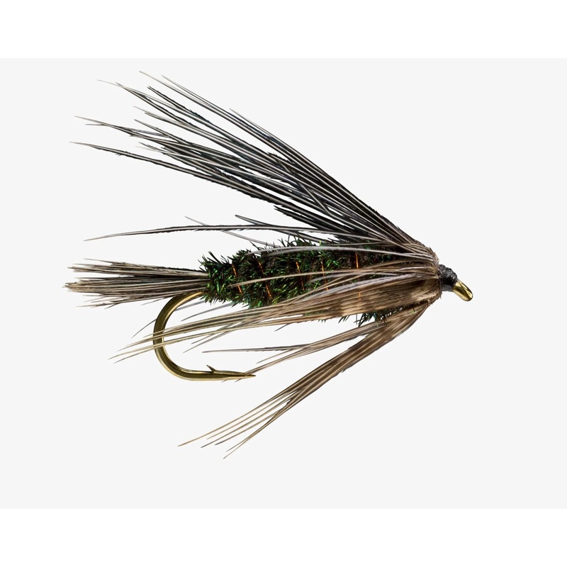 Carey Special Peacock||6||8||10||12