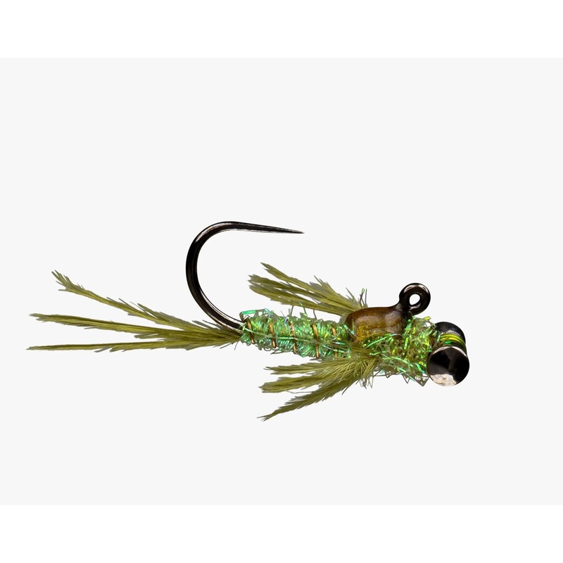 RIO’s Morrish Level Headed Damsel Olive