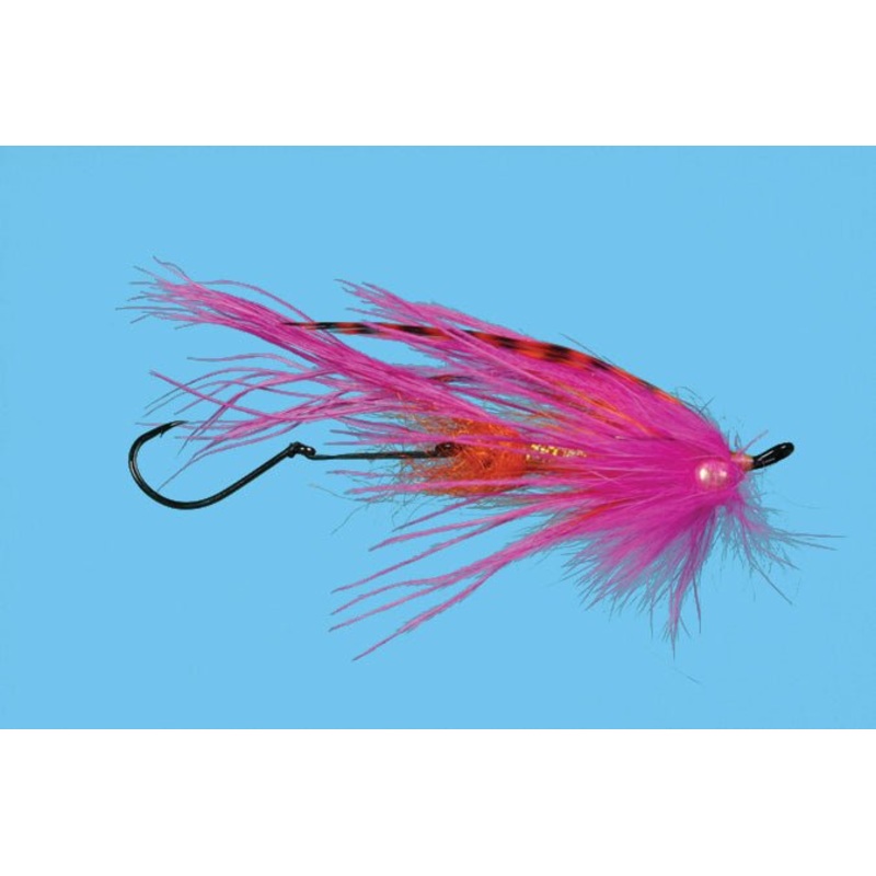 Solitude Signature Intruder