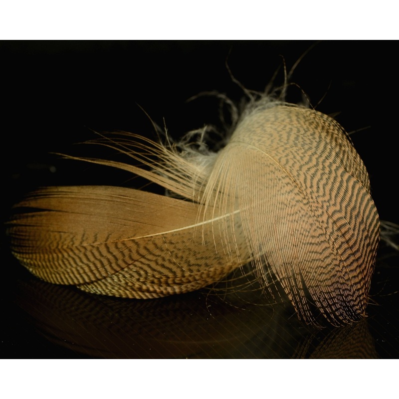 Spawn Super Select American Widgeon