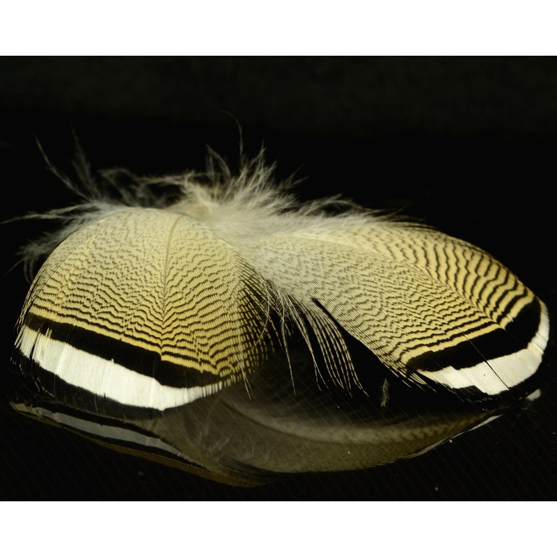 Spawn Super Select Barred Wood Duck Feathers