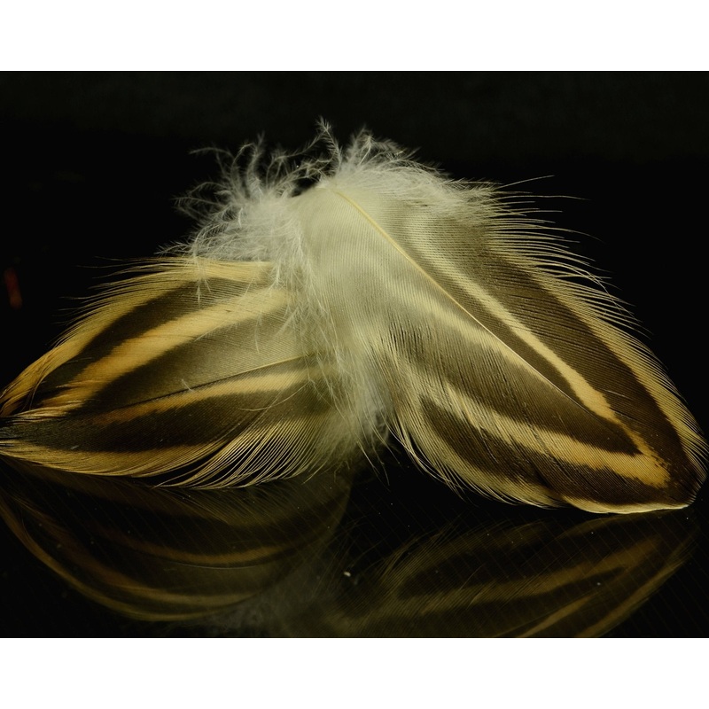 Spawn Super Select Hen Mallard