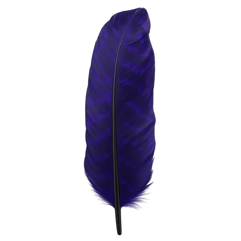 Turkey Quill – Dyed Purple