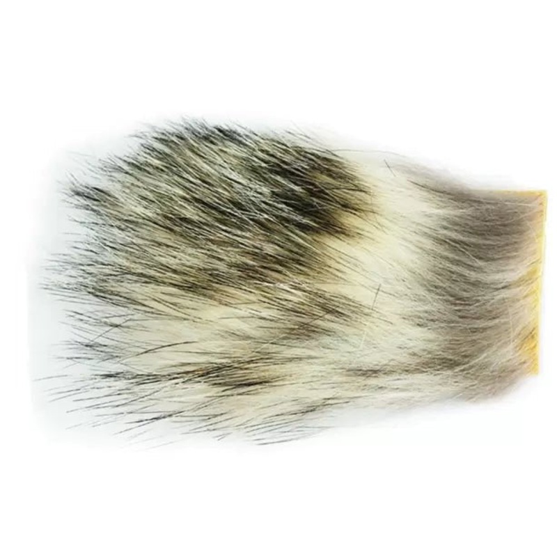 Wapsi Badger|Small|Large