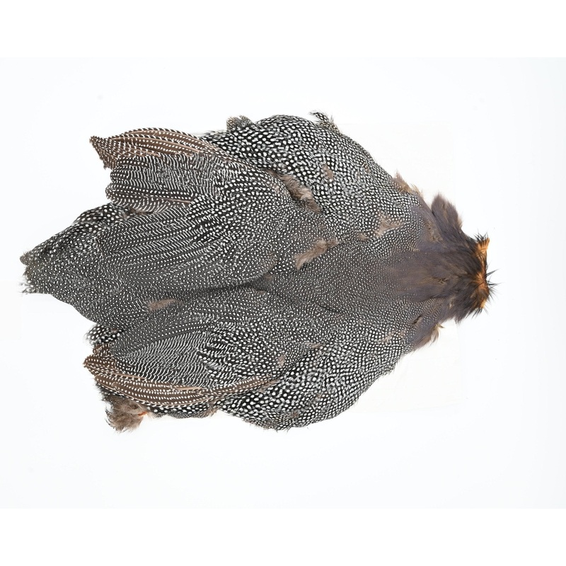 Whiting Guinea Fowl Natural Gray Speckled