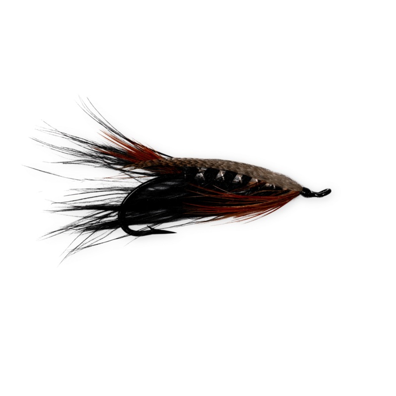 Black Caroline|CUSTOM|1.5