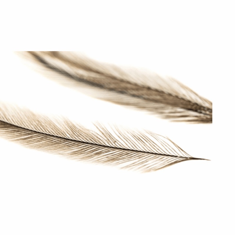 Hareline Natural Emu Feathers|NATURAL|PACK