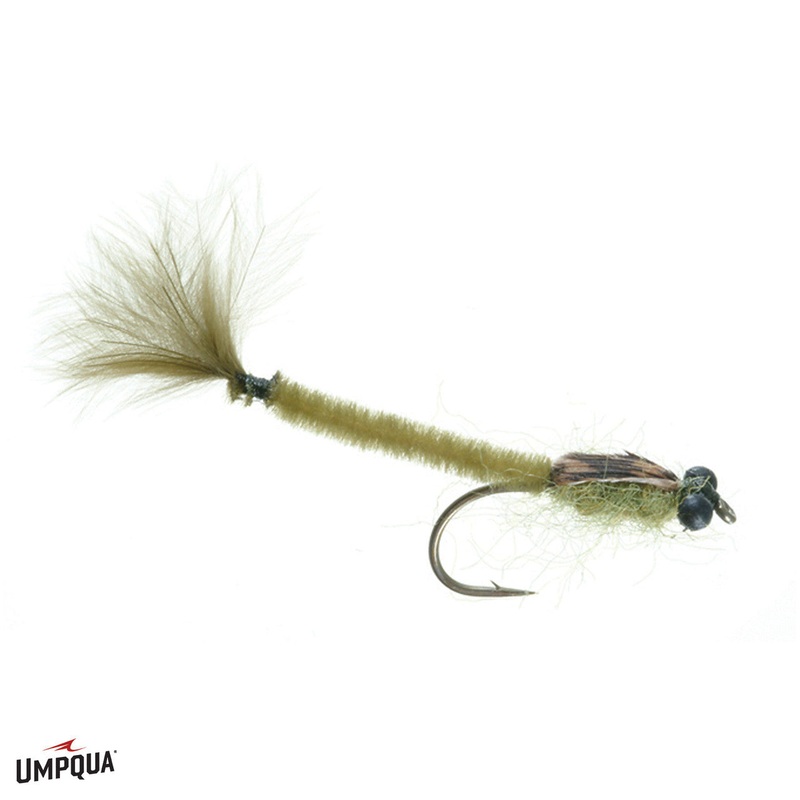 Burk’s Damsel Nymph|12