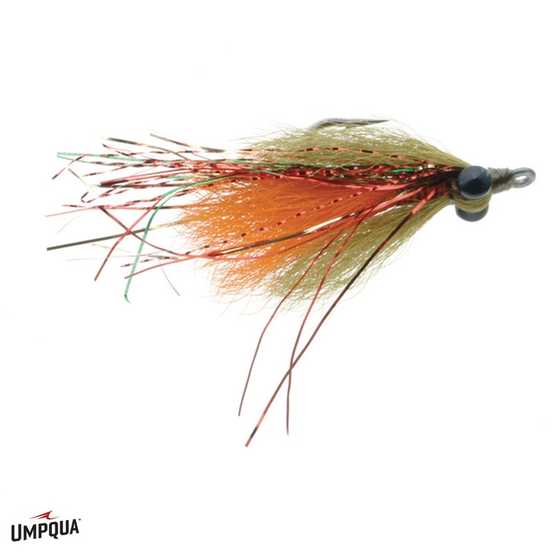 Darter Perch|PERCH|4