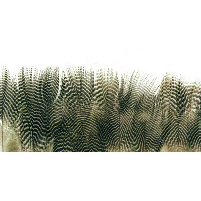 Wapsi Teal Barred Flank|FL CHART|FLORANGE|FLPINK|NATURAL|OLIVE|PEA BLUE|PURPLE|RED|WOODDUCK|YELLOW|1/8