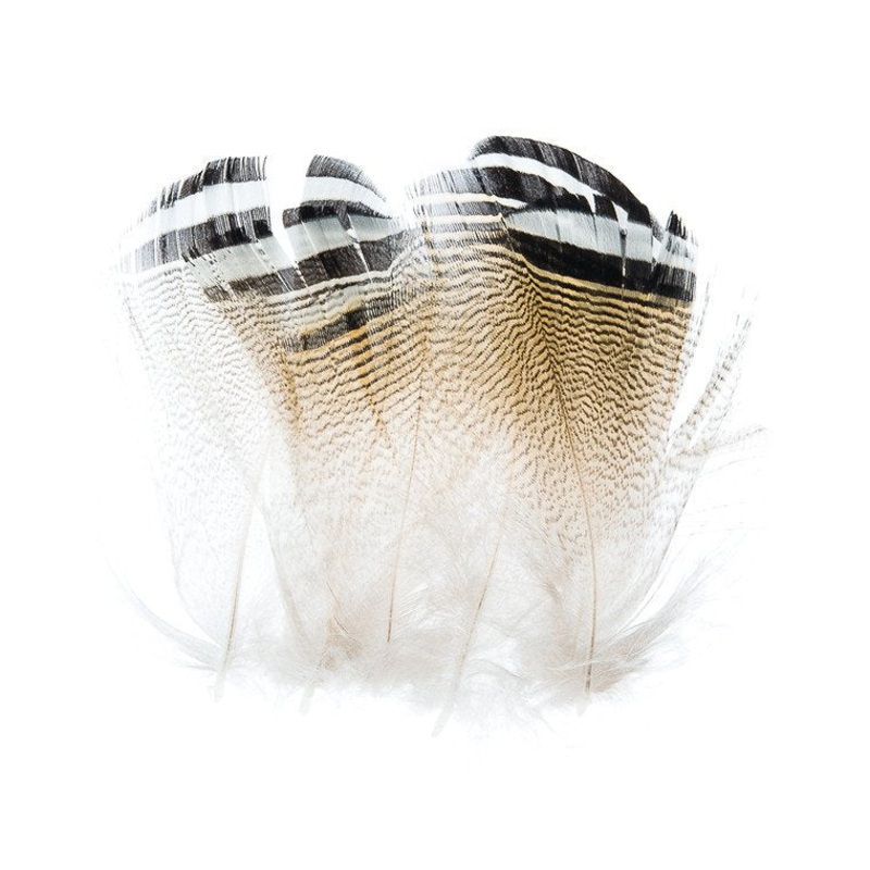 Wapsi Wood Duck Black & White|NATURAL