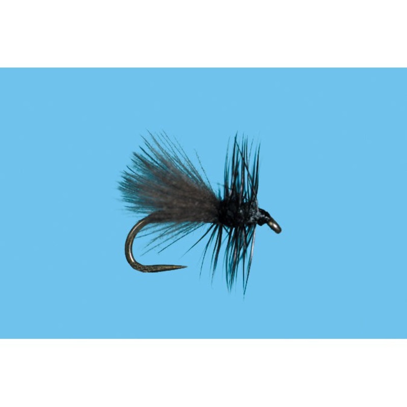 CDC Midge Adult Black|BLACK|22|24