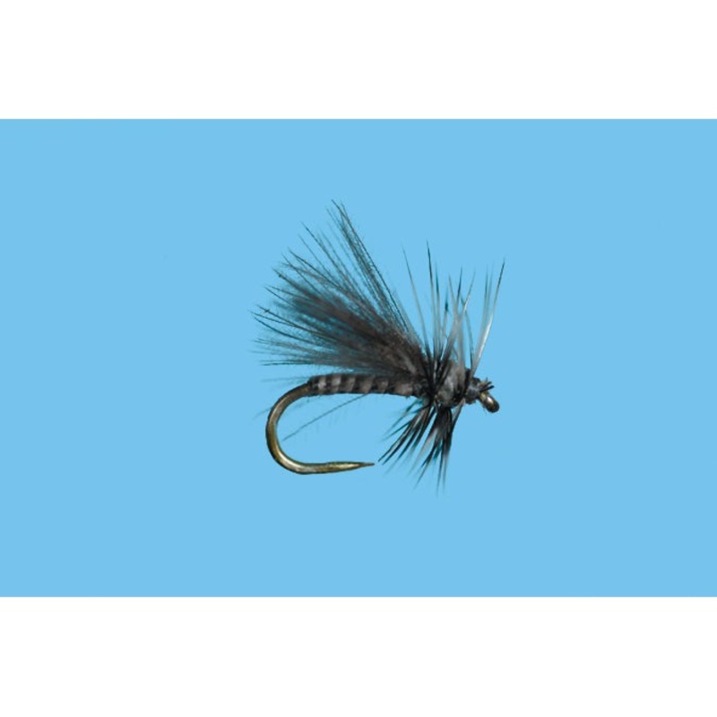 CDC Midge Adult Gray|GRAY|22|24