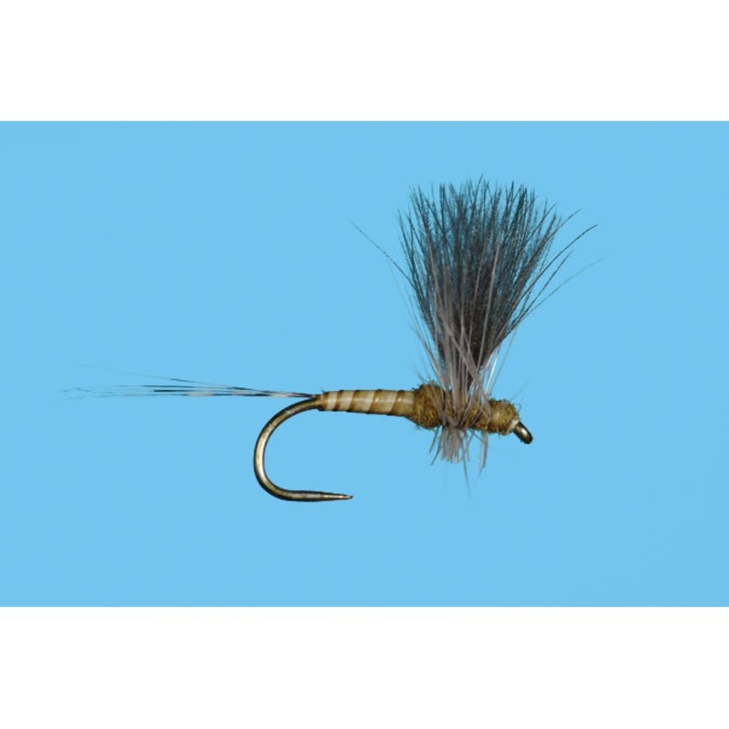 CDC Thorax BWO|BWO|20