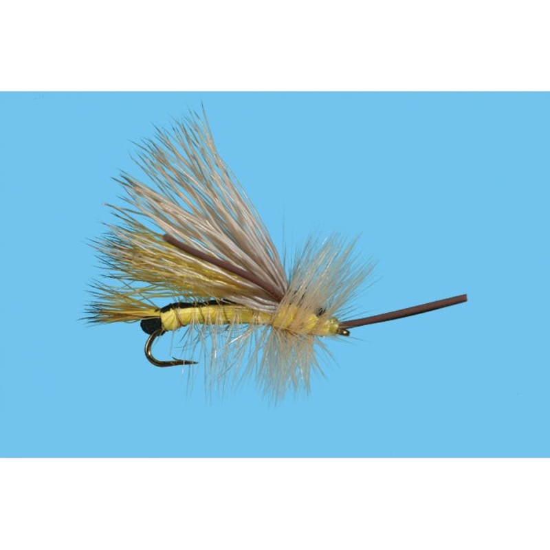 Golden Stone Egg Layer|10