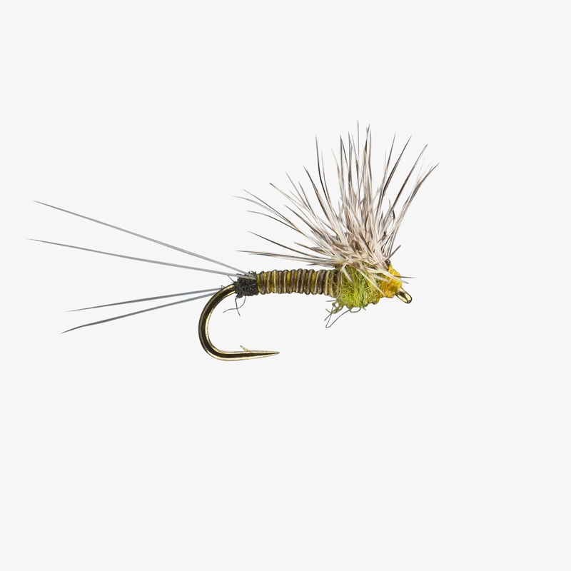 Hackle Stacker Female Baetis|BAETIS|20