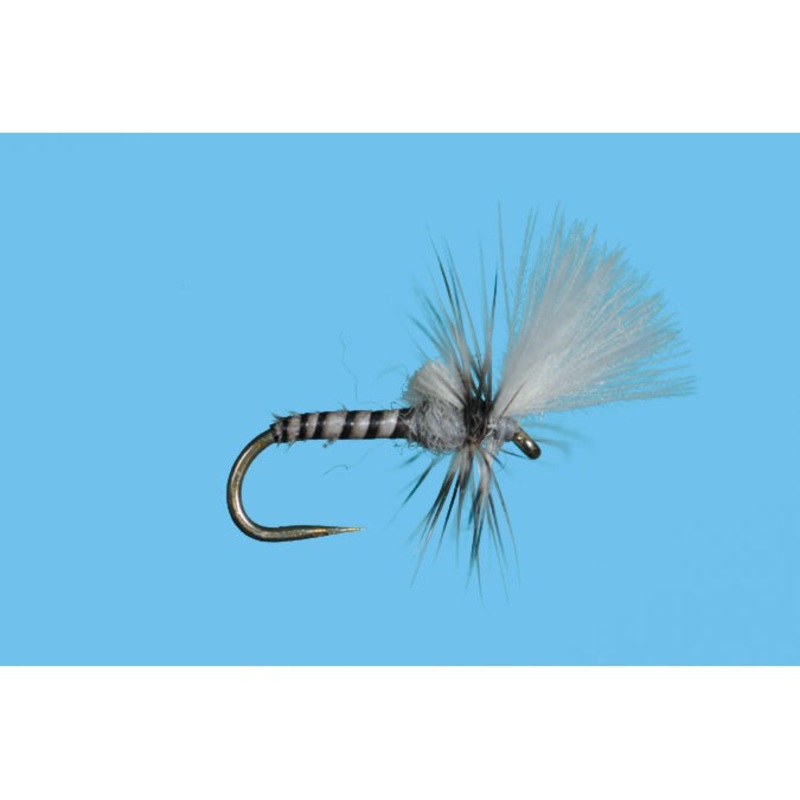 Hanging Midge Gray|GRAY|22|24