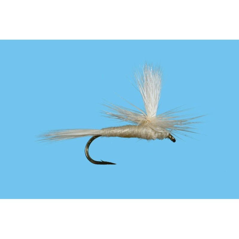 Light Cahill Parachute|14