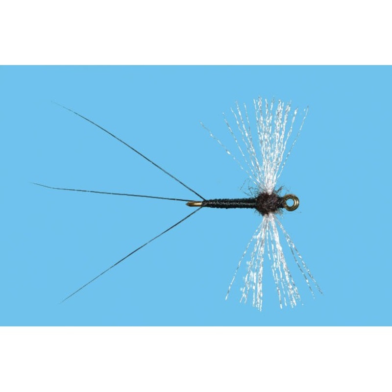 Organza Trico Spinner|18