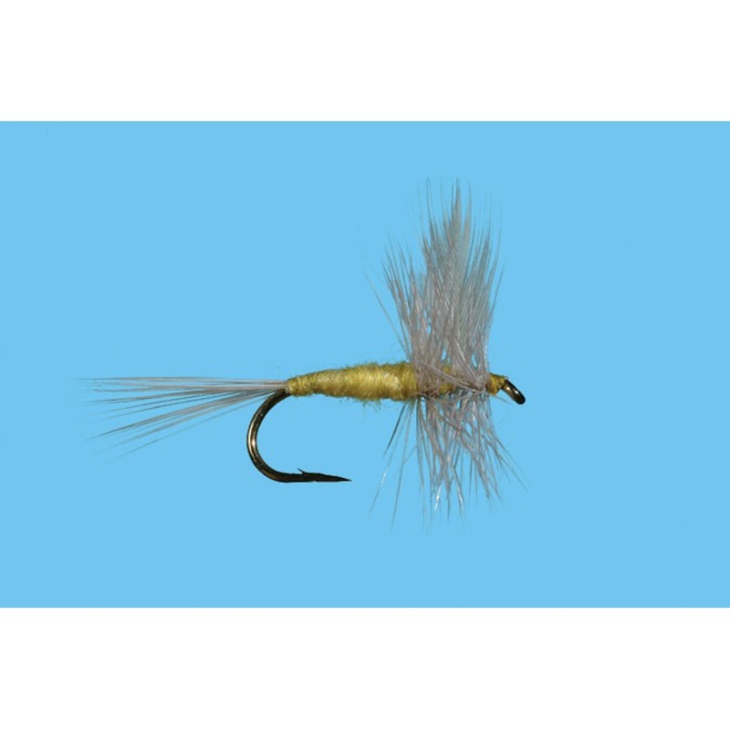 Pale Morning Dun|PMD|18