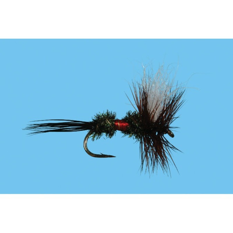 Royal Wulff|DRY FLY|18