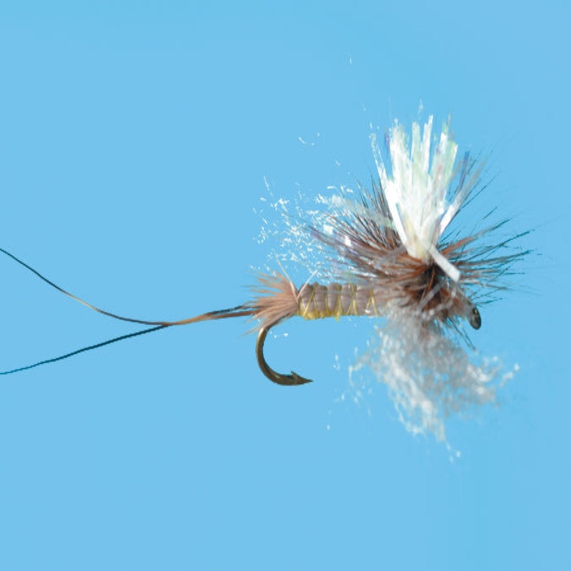 Sexy Hex Spinner|GLOW|6