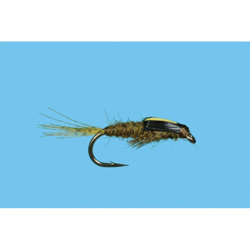 Split Case BWO|BWO|20