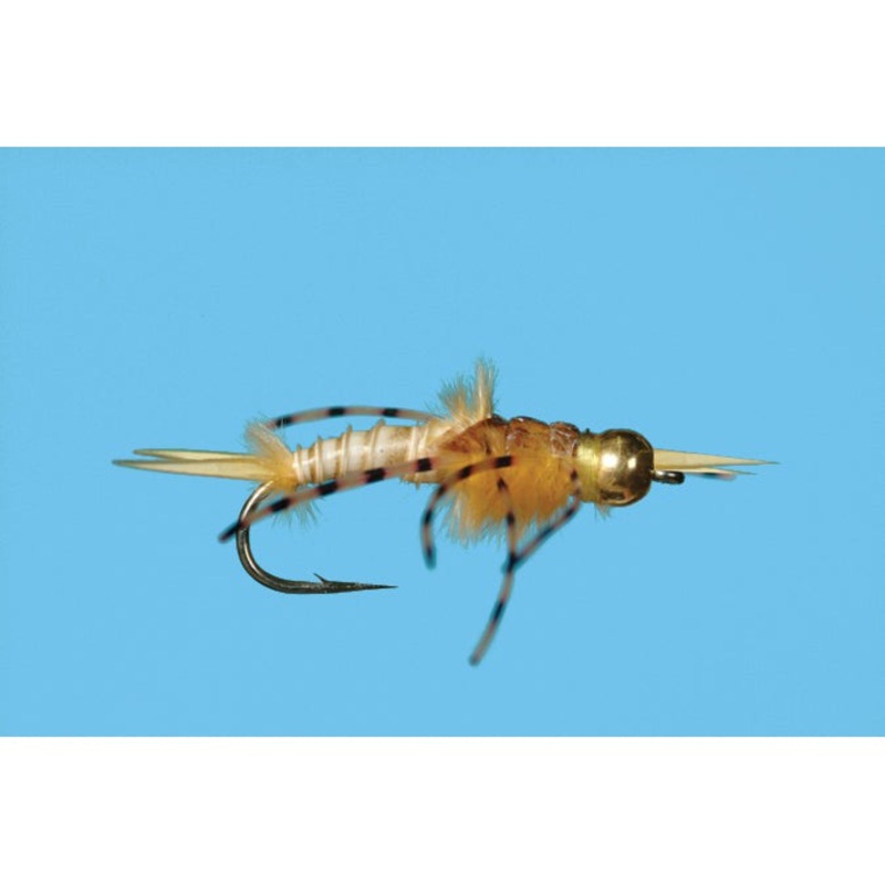 Tungsten Golden Stone|12|8