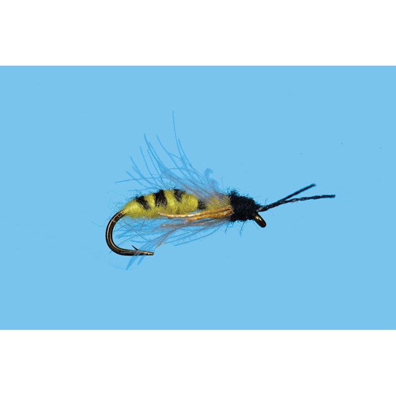 Yellow Jacket Drowning|YELL BLK|12