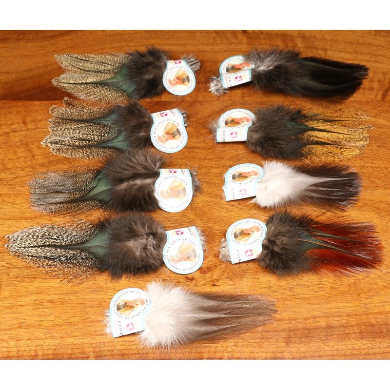 Coq De Leon|BLK SPEC|BAR SPEC|DUN|GNG SPEC|PKG